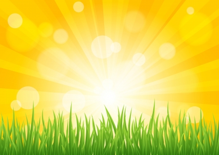 Bright sun effect with green grass field.のイラスト素材