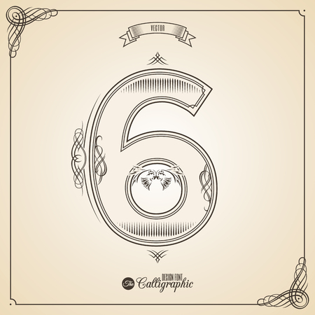 Calligraphic Fotn with Border, Frame Elements and Invitation Design Symbols. Collection of Glyph. Certificate and Decor Design Elements. Hand written retro feather Symbol. Number 6のイラスト素材