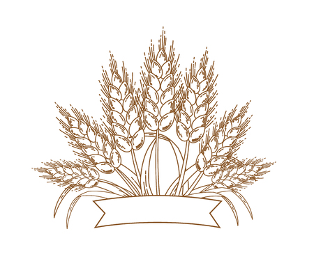 Vector illustration of gold ripe wheat ears. Icon, Logo or design elementのイラスト素材