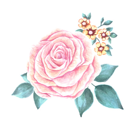 Hand Painted Watercolor Flower Vector. Vector Watercolor Flowers. Watercolor Rose Vector.のイラスト素材