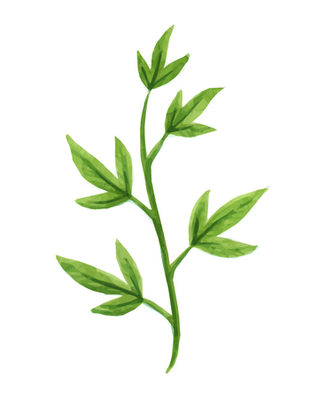 Vector designer elements set collection of green greenery art foliage natural leaves herbs in watercolor style. Decorative beauty elegant illustration for designのイラスト素材