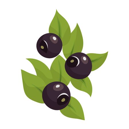 blueberry isolated on white background. Bright vector illustration of colorful half and whole of juicy bilberry. Fresh cartoon.のイラスト素材