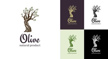 Elegant olive tree isolated icon. Vector tree logo design concept. Olive tree silhouette illustration. Natural olive oil tree plant emblemのイラスト素材