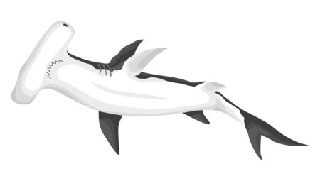 Hammerhead shark. Big dangerous marine predator. Underwater sea animal. Vector illustration of Marine wildlifeのイラスト素材