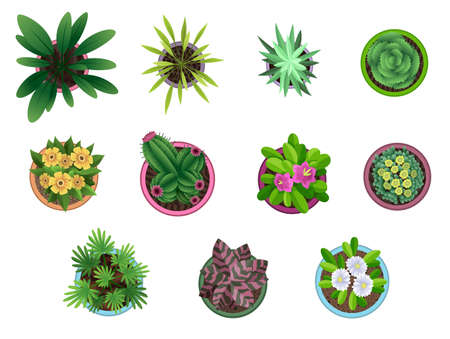Collection of plant top view in pots. Home plant set. Cactus, green leaves concept. Interior house gardening design. Set of different house plants with flowersのイラスト素材