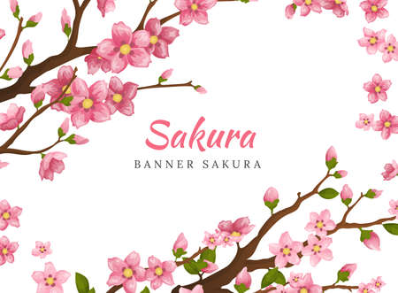 Sakura. Greeting card banner or invitation card with blossom sakura flowers. Blooming flowers illustration wedding invitation templateのイラスト素材
