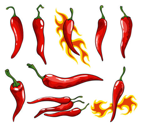 Collection of hand drawn chili peppers. Super hot red chilli peppers. Red isolated spicy mexican peppers on white background. Natural healthy food. Spicy ingredientのイラスト素材