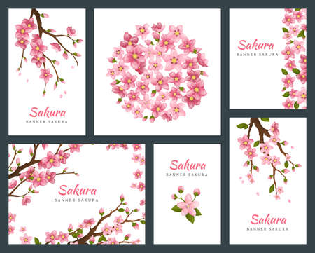 Set of greeting cards, banners and invitation card with blossom sakura flowers. Blooming flowers illustration wedding invitation templateのイラスト素材