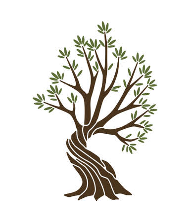 Olive tree with branches and green leaves banner. Hand drawn ancient greek label, natural vegetarian shop sign. Premium quality design conceptのイラスト素材