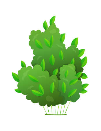 Grass or bushes. Green realistic spring grass. Fresh plants, garden botanical greens, herbs and leaves vector isolated on white. Natural lawn meadow bushes, floral vegetationのイラスト素材