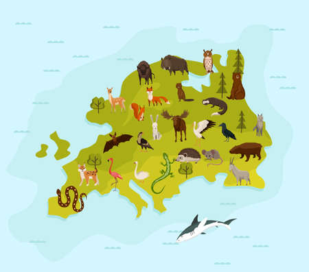Animal map of europe. Nature fauna cartography concept . Geographical map with local fauna. Continent with mammals and sea life. Vector illustration in kids styleのイラスト素材