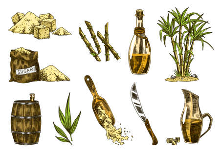 Cane sugar. Set of product from sugarcane plants. Engraving hand drawn natural organic food and natural ingredients. Fresh squeezed sugarcane in glass, sugar in heap and cubes, bamboo and rumのイラスト素材