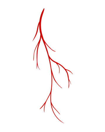 Human veins. Red silhouette vessel, arteries or capillaries on white background. Concept anatomy element for medical science. Vector isolated symbol of blood systemのイラスト素材