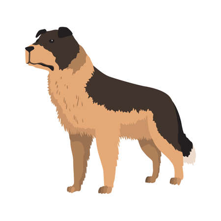 Dog breed. Cartoon domestic pet character flat vector illustration. Human friend home animalのイラスト素材
