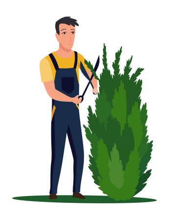 Professional gardener pruning tree with pruners or garden shears. Man working with shrubs in backyard. Colored flat vector illustration of worker in uniform isolated on white backgroundのイラスト素材
