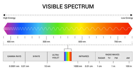 Spectrum wavelength. Visible spectrum color range. Educational physics light line. Light wave frequency. Wavelengths of the visible part of the spectrum for human eyesのイラスト素材