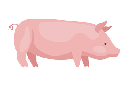 Meat factory raw production. Pig. Food industry concept element. Industrial to produce food for saleのイラスト素材