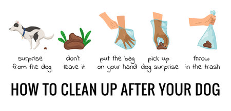 Dog poo clean up steps infographic set. Vector poster about hygiene animal, toilet cleaning information after your dog. Pick up poo after pets, picking waste in canine bag and throw in the trashのイラスト素材