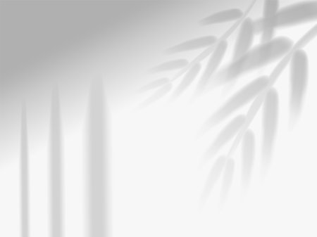 Shadow mockup. Sunlight overlay effect from window frames and tropical plant branch, palm tree leaves on room wall, ceiling or floor. Realistic background. Vector illustrationのイラスト素材