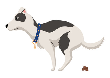 Dog poo clean up, one step infographic. Vector poster about hygiene animal, toilet cleaning information after your dog, one stepのイラスト素材