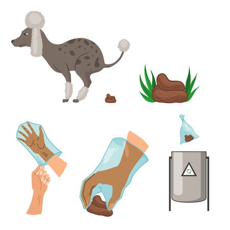 Dog poo clean up steps infographic set. Vector poster about hygiene animal, toilet cleaning information after your dog. Pick up poo after pets, picking waste in canine bag and throw in the trashのイラスト素材