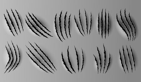 Bear or tiger claw marks. Scratches and torn traces of vector animal paw slashes. Hole in sheet of paper with torn edges. Vector illustrationのイラスト素材