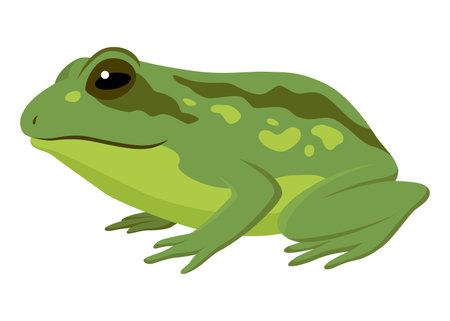 Frog jumping animation icon. Sequences or footage for motion design. Cartoon toad jumping, animal movement concept. Frog leap sequence, vector illustrationのイラスト素材