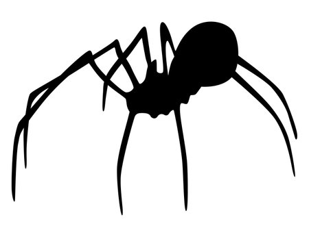 Spider silhouette. Black close-up insect, scary big spider isolated on white. Poisonous dangerous animal. Creepy wildlife bugのイラスト素材