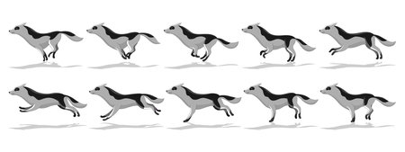 Dog running animation with different creature movements. Doggy poses in movement. Character move for games, cartoon or video. Flat vector illustrationのイラスト素材