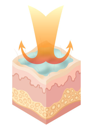 Protection uv ray skin. Illustration about Skin care concept. Sun protection body adipose layers epidermis, vector infographicのイラスト素材