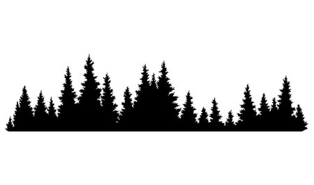 Fir trees silhouette. Coniferous spruce horizontal background pattern, black evergreen woods vector illustration. Beautiful hand drawn panorama of coniferous forestのイラスト素材
