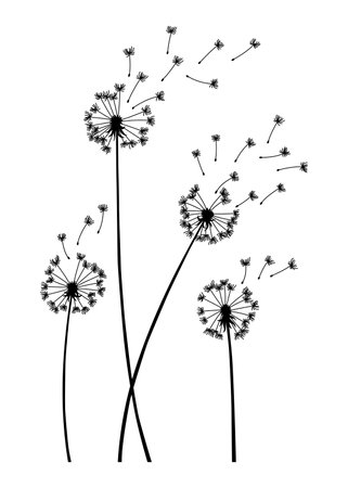 Dandelion wind blow background. Black silhouette with flying dandelion buds on white. Abstract flying seeds. Decorative graphics for printing. Floral scene designのイラスト素材