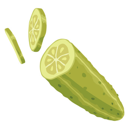 Homemade pickled cucumber. Clip-art of marinated food for packaging, label, menu, signboard or showcase. Fermented veggies, crunch gherkin with salt. Healthy vegetarian foodのイラスト素材