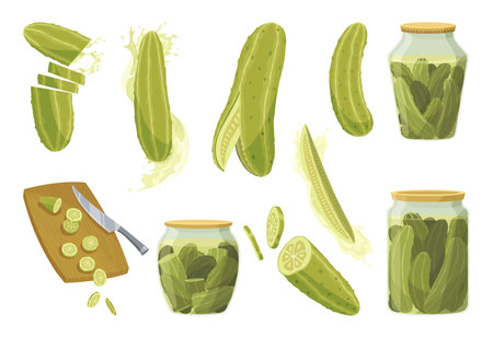 Homemade pickled cucumbers. Clip-arts of marinated food for packaging, label, menu, signboard or showcase. Fermented veggies, crunch gherkin with salt. Healthy vegetarian foodsのイラスト素材