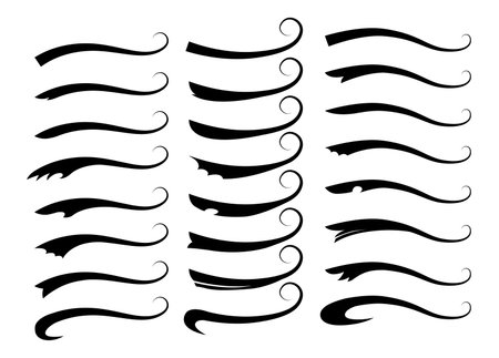 Swooshes typography text tails shape. Calligraphic decoration swish symbols. Retro underlines, black strokes or ornament design vector illustrationのイラスト素材