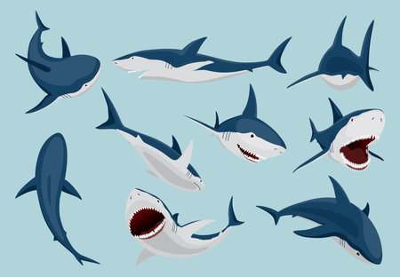 Shark in different poses. Marine predator fish character. Underwater wildlife and ocean animals. Cartoon flat isolated icons set on white background. Vector illustrationのイラスト素材