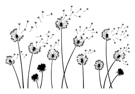 Dandelion wind blow background. Black silhouette with flying dandelion buds on white. Abstract flying seeds. Decorative graphics for printing. Floral scene designのイラスト素材