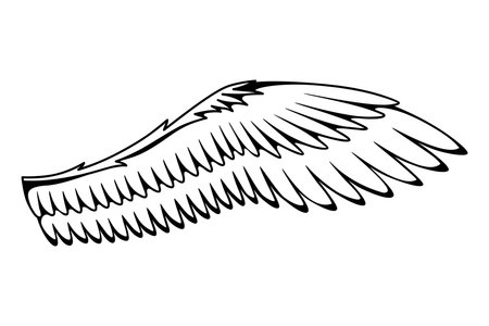 Wings sketch. Stylized birds wings. Hand drawn contoured stiker wing in open position. Vector design elements in coloring styleのイラスト素材
