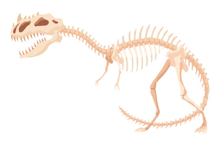 Dinosaur skeleton. Dino monsters icon. Shape of real animal. Sketch of prehistoric reptiles. Vector illustration isolated on white. Hand drawn sketchのイラスト素材