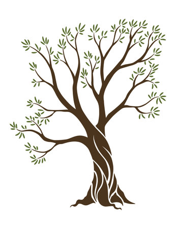 Olive trees with branches and leaves for design of packaging, label, logotype or banner. Natural organic stylized olive icon, premium quality sign. Vector illustrationのイラスト素材