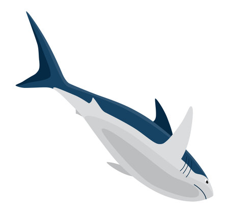 Shark. Marine predator fish character. Underwater wildlife or ocean animal. Cartoon flat isolated icon on white background. Vector illustrationのイラスト素材