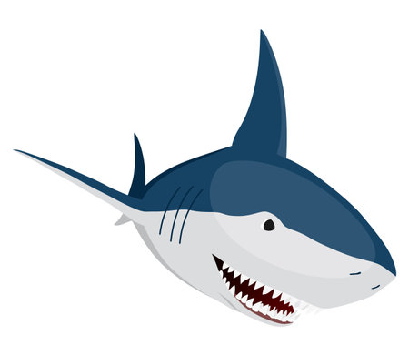 Shark. Marine predator fish character. Underwater wildlife or ocean animal. Cartoon flat isolated icon on white background. Vector illustrationのイラスト素材