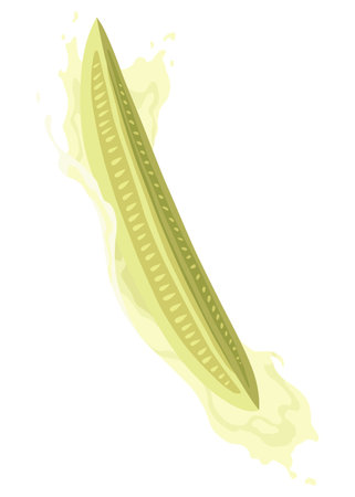 Homemade pickled cucumber. Clip-art of marinated food for packaging, label, menu, signboard or showcase. Fermented veggies, crunch gherkin with salt. Healthy vegetarian foodのイラスト素材