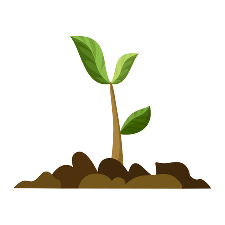 Stage of tree growth. Small tree growth with green leaf and branches. Illustration of business cycle developmentのイラスト素材