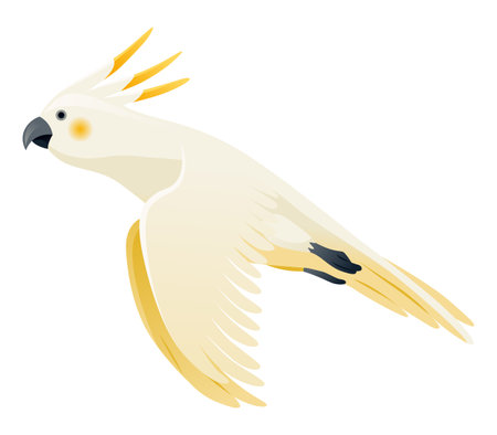 Parrot animation. Exotic adorable fauna character flight. White sulphur crested cockatoo. Animated tropical bird flyingのイラスト素材
