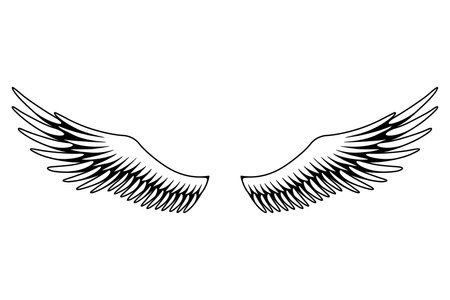 Wings sketch. Stylized birds wings. Hand drawn contoured stiker wing in open position. Vector design elements in coloring styleのイラスト素材