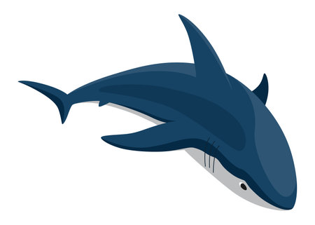 Shark. Marine predator fish character. Underwater wildlife or ocean animal. Cartoon flat isolated icon on white background. Vector illustrationのイラスト素材