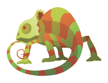 Chameleon lizard. Reptiles with curved tail and camouflage skin, tropical wildlife. Vector exotic animal illustrationのイラスト素材