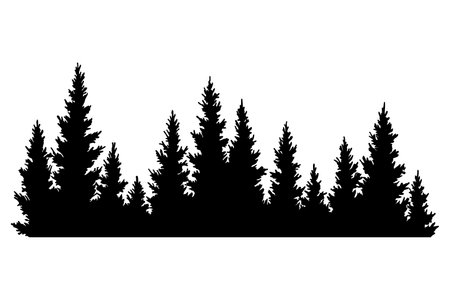 Fir trees silhouette. Coniferous spruce horizontal background pattern, black evergreen woods vector illustration. Beautiful hand drawn panorama of coniferous forestのイラスト素材