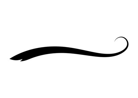 Swoosh typography text tail shape. Calligraphic decoration swish symbol. Retro underline, black stroke or ornament design vector illustrationのイラスト素材